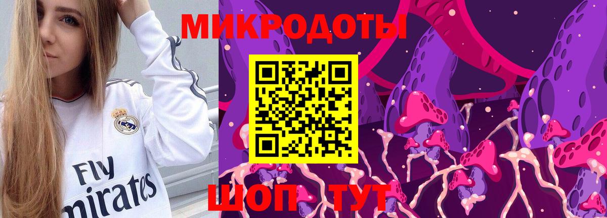 Галлюциногенные грибы Psilocybine cubensis Котовск