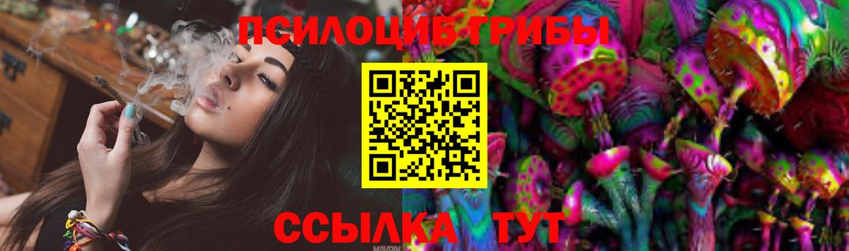 Псилоцибиновые грибы прущие грибы  Вход с VPN  Псилоцибиновые грибы Psilocybe  как найти закладки  Котовск 